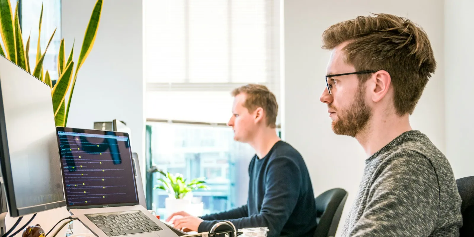 Two developers working at laptops and monitors in a bright office